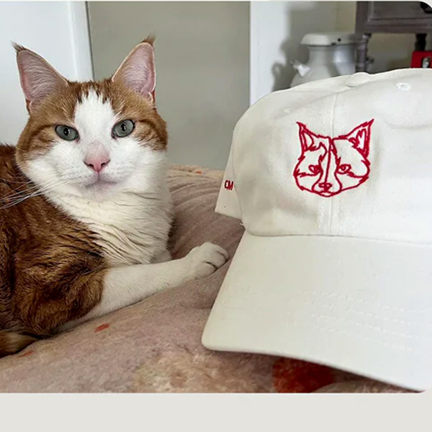 Custom Embroidered Cap – From Your Pet Photo